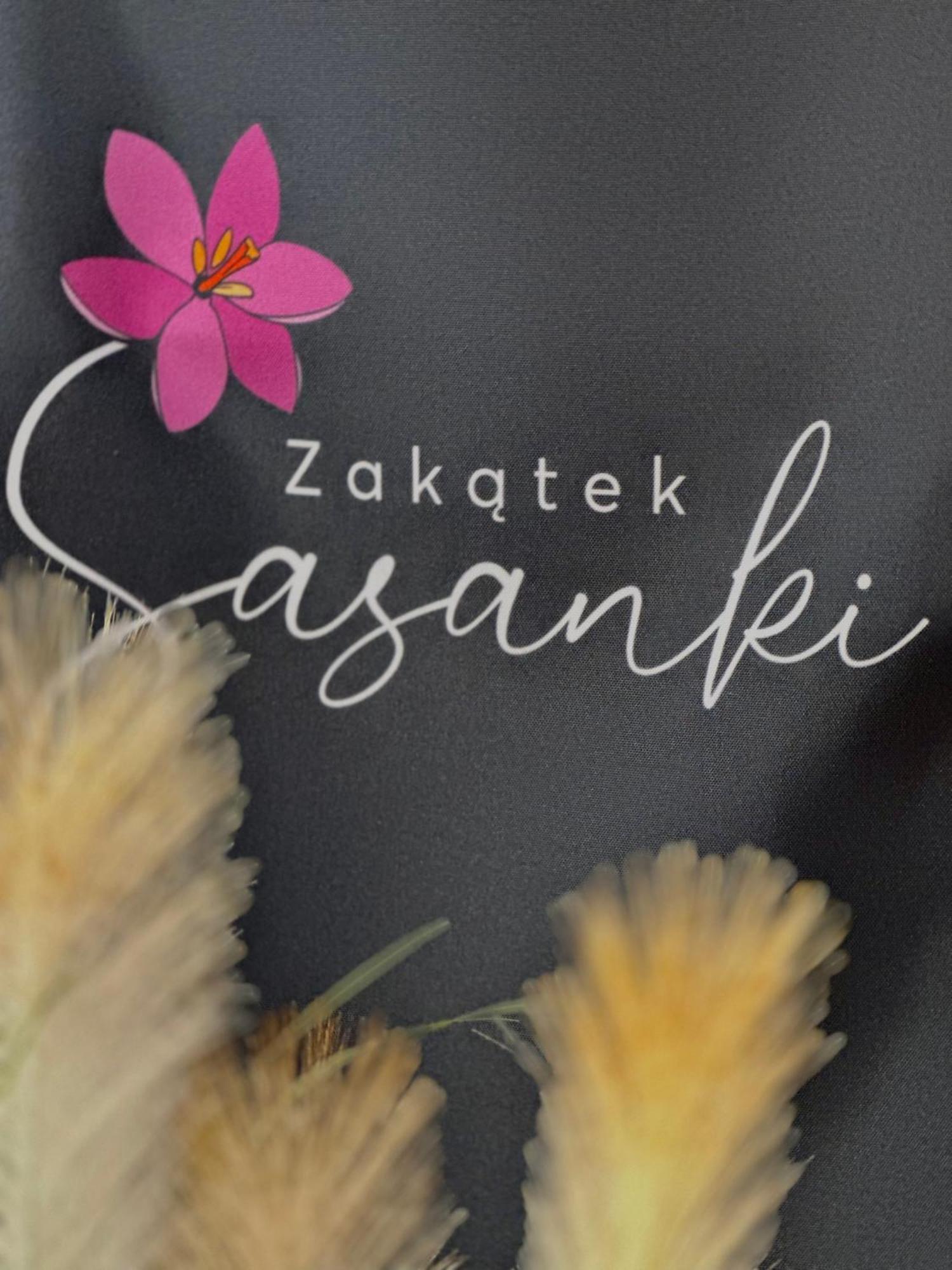 Вилла Zakatek Sasanki Любятово Экстерьер фото